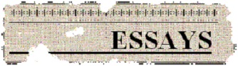 Essays